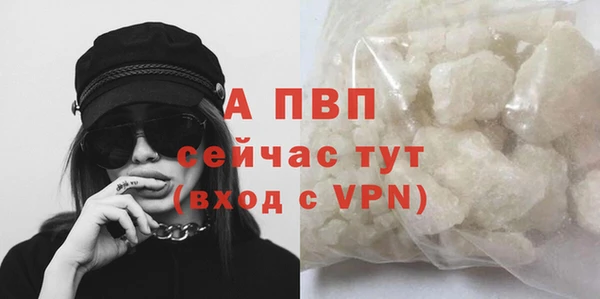 спиды Володарск